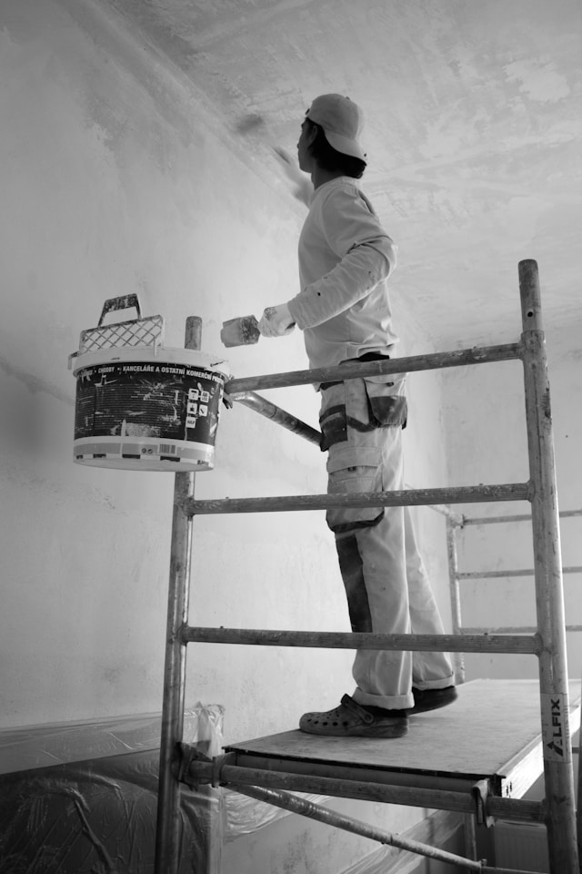 Paint & Wall Art